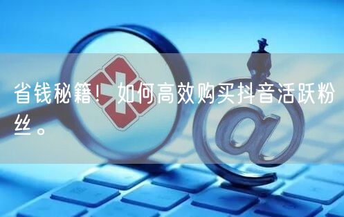 省钱秘籍！如何高效购买抖音活跃粉丝。
