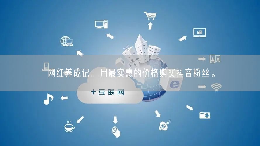 网红养成记：用最实惠的价格购买抖音粉丝。