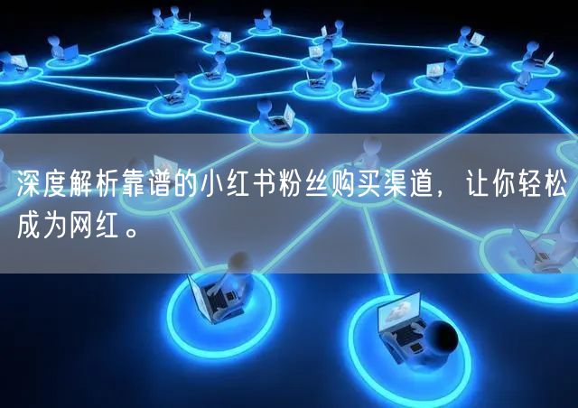 深度解析靠谱的小红书粉丝购买渠道，让你轻松成为网红。