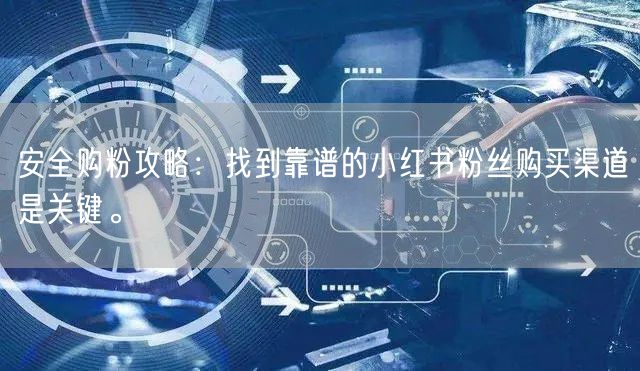 安全购粉攻略：找到靠谱的小红书粉丝购买渠道是关键。