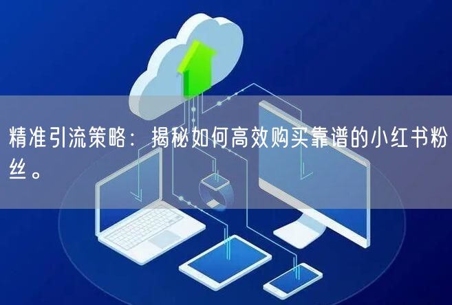 精准引流策略：揭秘如何高效购买靠谱的小红书粉丝。