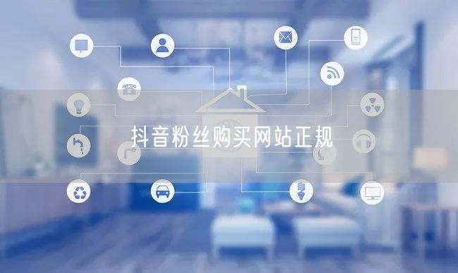 抖音粉丝购买网站正规