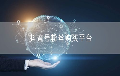 抖音号粉丝购买平台