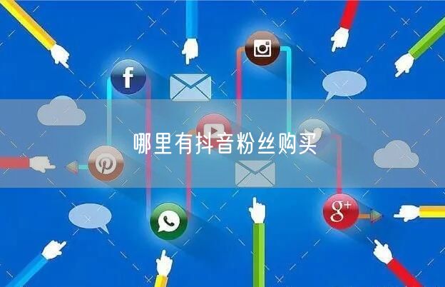 哪里有抖音粉丝购买