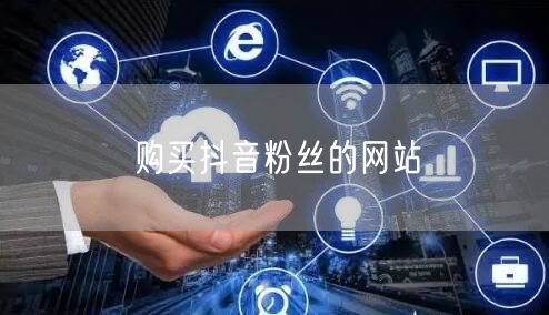 购买抖音粉丝的网站