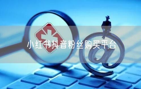 小红书抖音粉丝购买平台