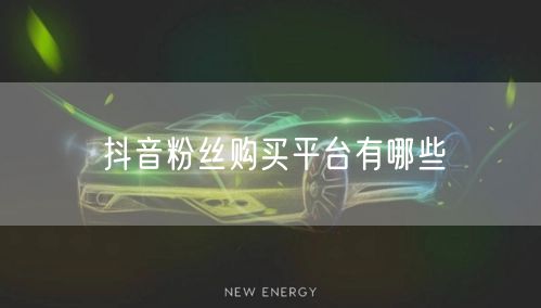 抖音粉丝购买平台有哪些