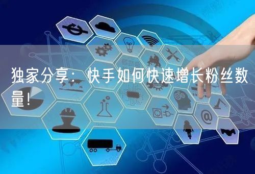 独家分享：快手如何快速增长粉丝数量！