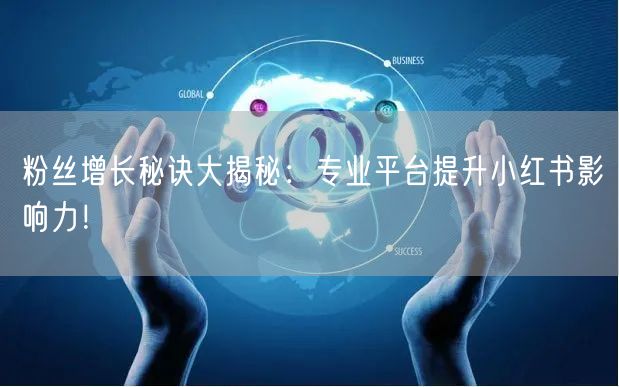 粉丝增长秘诀大揭秘：专业平台提升小红书影响力！