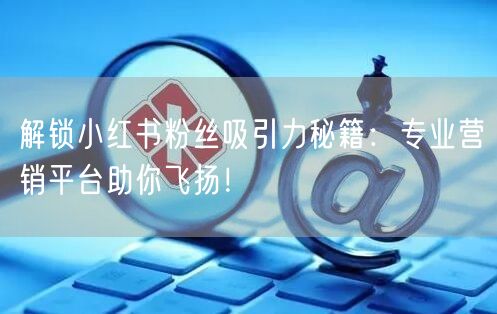 解锁小红书粉丝吸引力秘籍：专业营销平台助你飞扬！