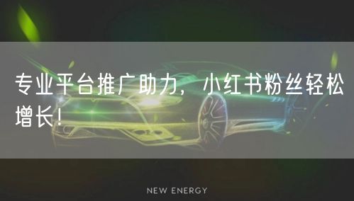 专业平台推广助力，小红书粉丝轻松增长！