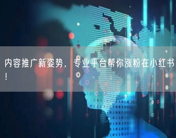 内容推广新姿势，专业平台帮你涨粉在小红书！
