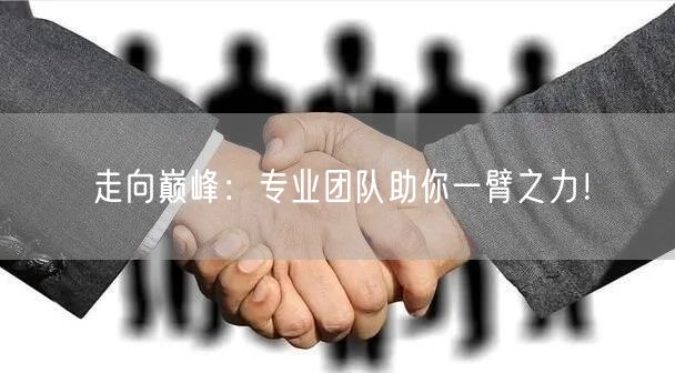 走向巅峰：专业团队助你一臂之力！