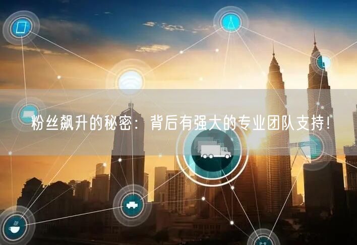 粉丝飙升的秘密：背后有强大的专业团队支持！