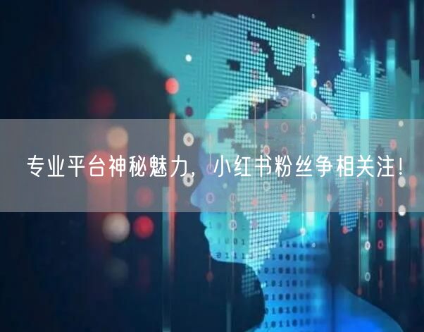 专业平台神秘魅力，小红书粉丝争相关注！
