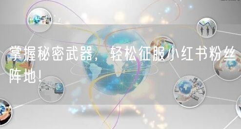 掌握秘密武器，轻松征服小红书粉丝阵地！