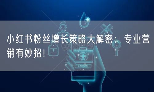 小红书粉丝增长策略大解密：专业营销有妙招！