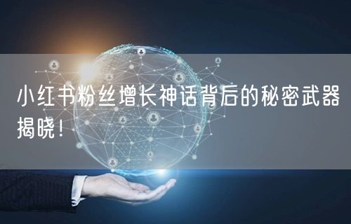 小红书粉丝增长神话背后的秘密武器揭晓！