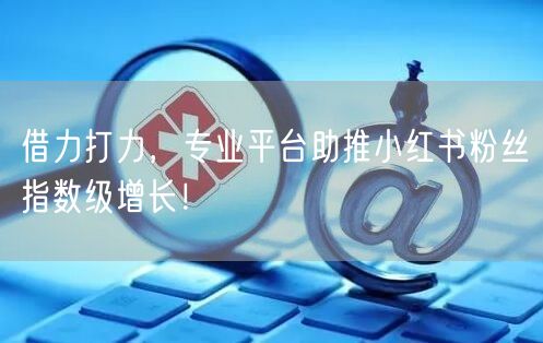借力打力，专业平台助推小红书粉丝指数级增长！