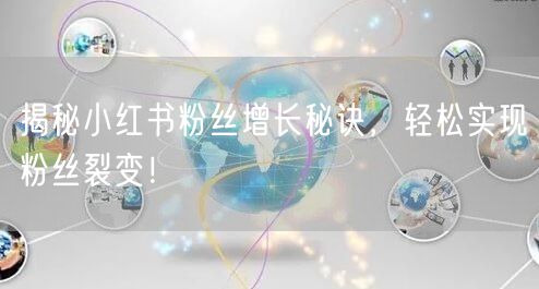 揭秘小红书粉丝增长秘诀，轻松实现粉丝裂变！