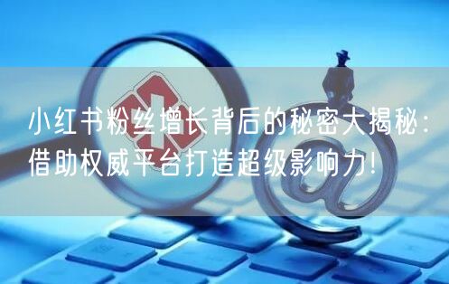 小红书粉丝增长背后的秘密大揭秘：借助权威平台打造超级影响力！