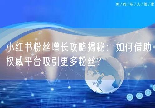 小红书粉丝增长攻略揭秘：如何借助权威平台吸引更多粉丝？