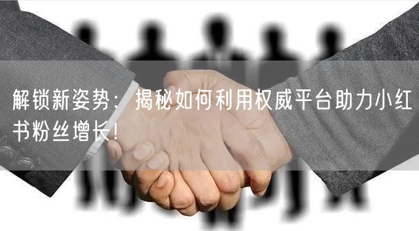 解锁新姿势：揭秘如何利用权威平台助力小红书粉丝增长！