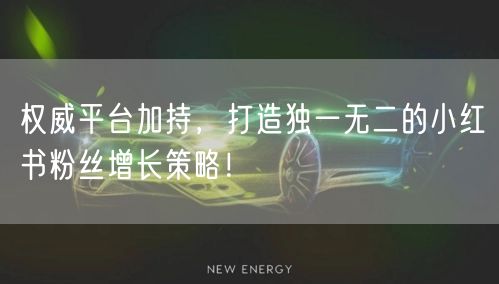 权威平台加持，打造独一无二的小红书粉丝增长策略！