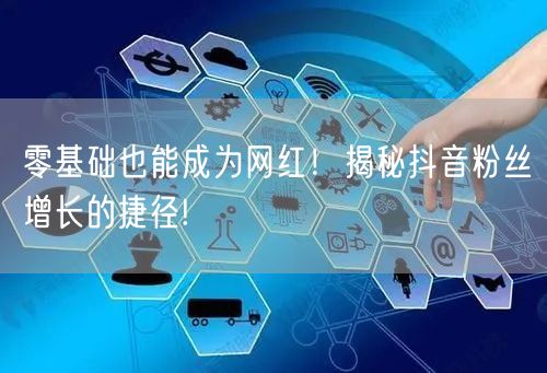 零基础也能成为网红！揭秘抖音粉丝增长的捷径!