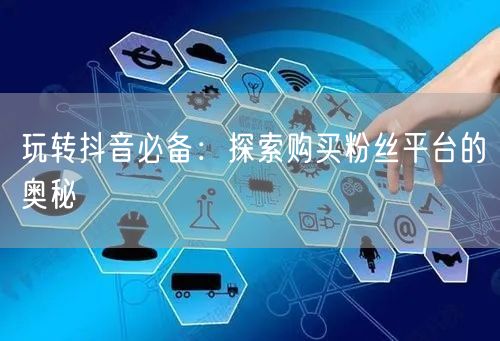 玩转抖音必备：探索购买粉丝平台的奥秘