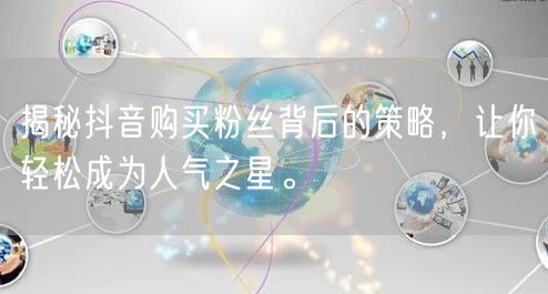 揭秘抖音购买粉丝背后的策略，让你轻松成为人气之星。