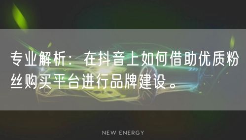 专业解析：在抖音上如何借助优质粉丝购买平台进行品牌建设。