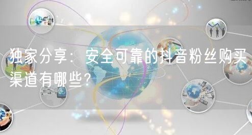 独家分享:安全可靠的抖音粉丝购买渠道有哪些?