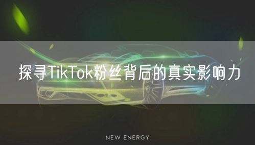 探寻TikTok粉丝背后的真实影响力