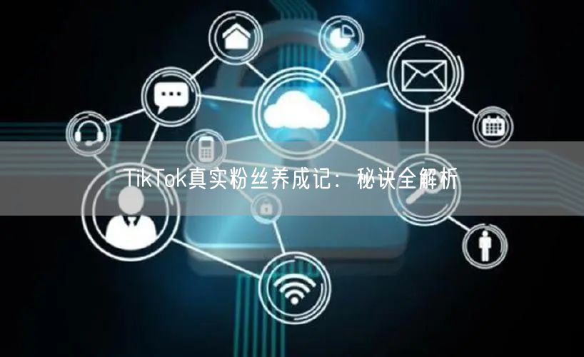 TikTok真实粉丝养成记：秘诀全解析