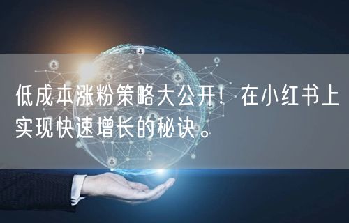 低成本涨粉策略大公开！在小红书上实现快速增长的秘诀。