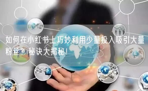 如何在小红书上巧妙利用少量投入吸引大量粉丝？秘诀大揭秘！