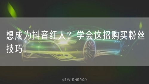 想成为抖音红人？学会这招购买粉丝技巧！