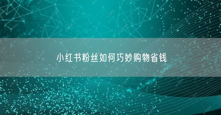 小红书粉丝如何巧妙购物省钱