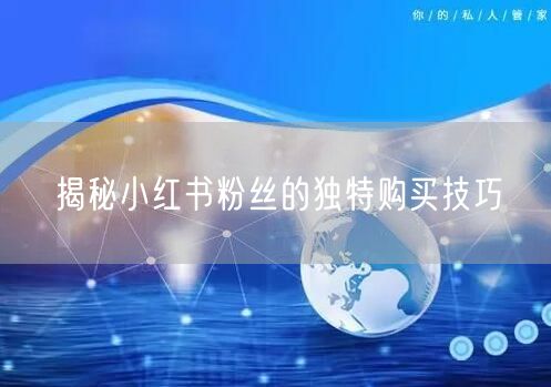 揭秘小红书粉丝的独特购买技巧
