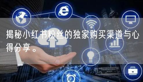 揭秘小红书粉丝的独家购买渠道与心得分享。