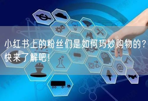 小红书上的粉丝们是如何巧妙购物的？快来了解吧！
