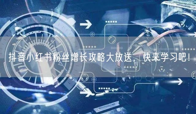抖音小红书粉丝增长攻略大放送，快来学习吧！