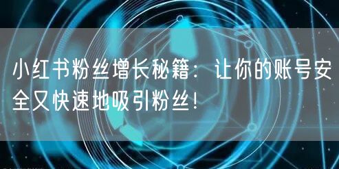 小红书粉丝增长秘籍：让你的账号安全又快速地吸引粉丝！