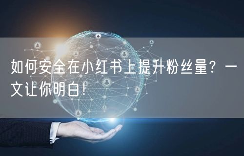 如何安全在小红书上提升粉丝量？一文让你明白！