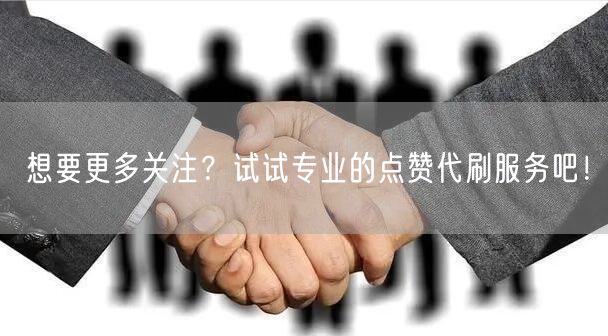 想要更多关注？试试专业的点赞代刷服务吧！