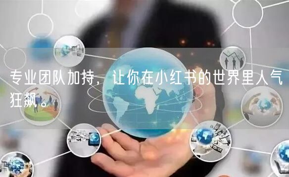 专业团队加持，让你在小红书的世界里人气狂飙。