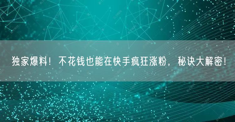独家爆料！不花钱也能在快手疯狂涨粉，秘诀大解密！