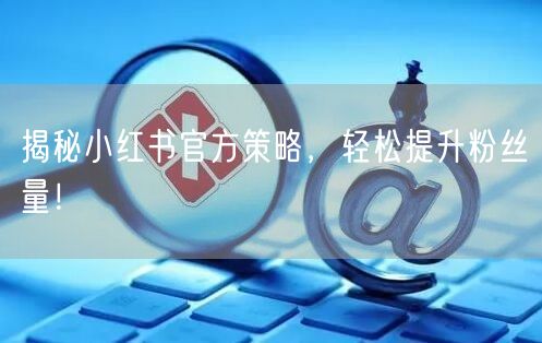 揭秘小红书官方策略，轻松提升粉丝量！