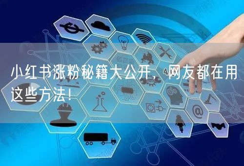 小红书涨粉秘籍大公开，网友都在用这些方法！